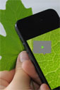 Lens attached to smartphone shows leaf details