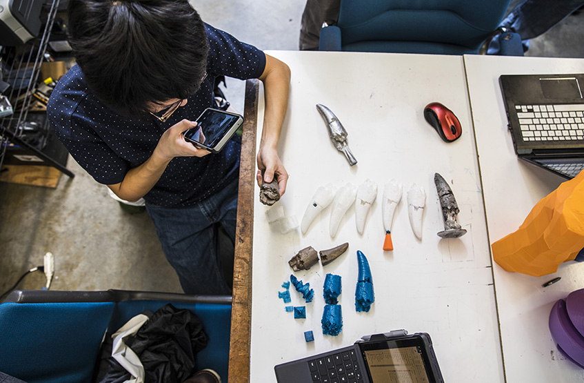 image of replicas of dinosaur teeth being examined by a student