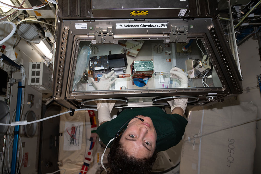 Astronaut Jessica Meir