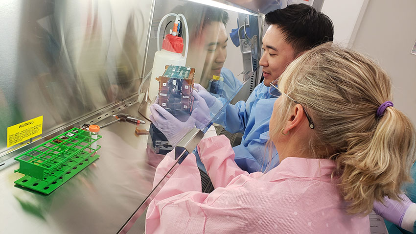 Two people attaching tissue chambers to a circuit board