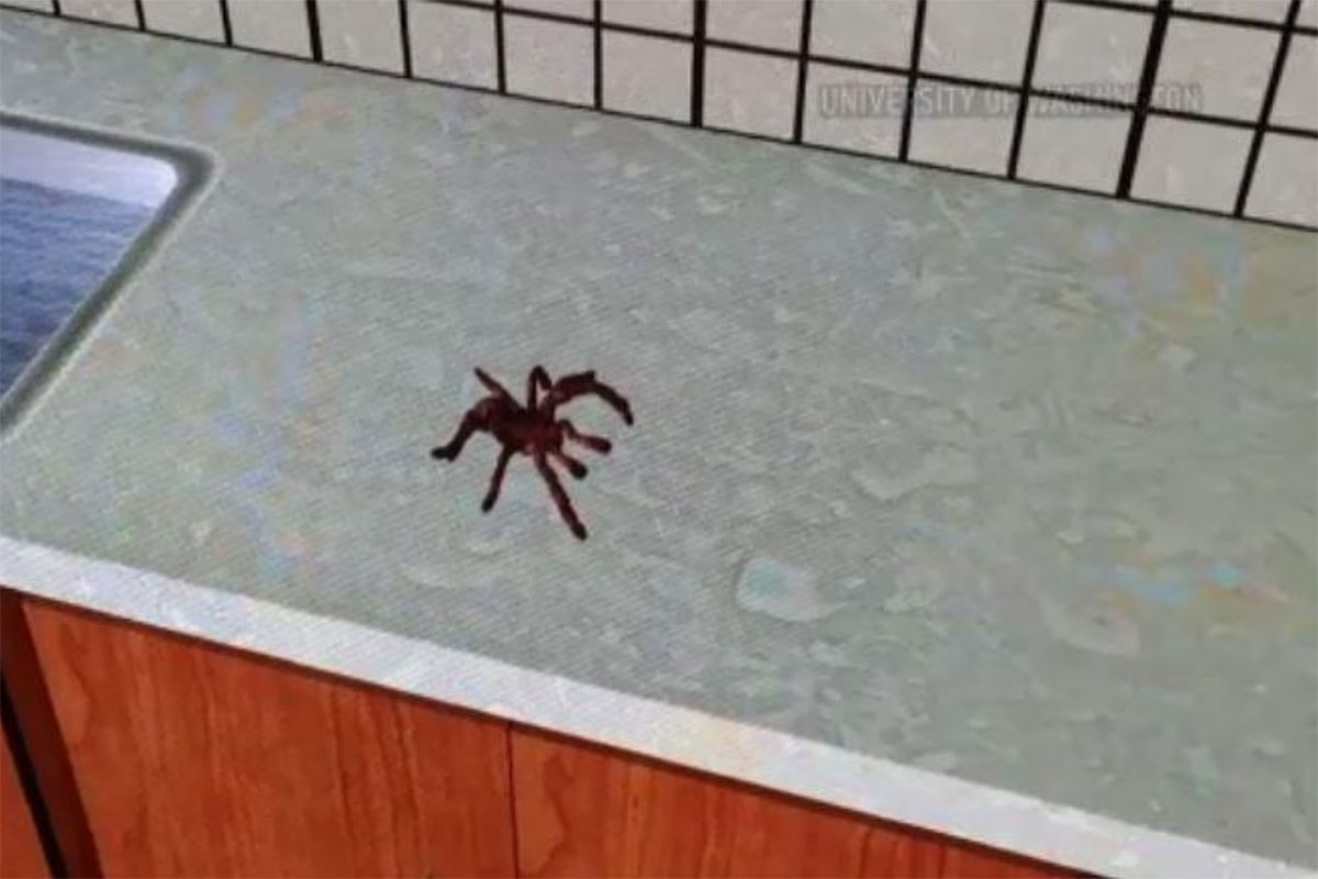 A VR image of a spider walking on a kitchen counter