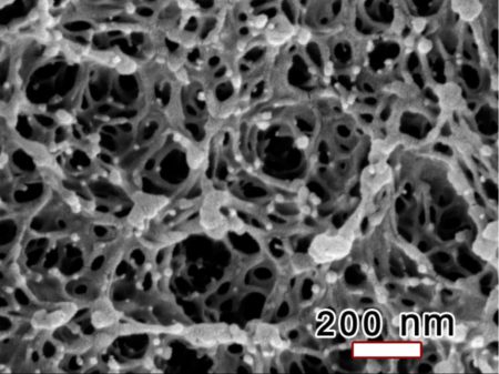 Vesicus’ nanoporous polymer thin film