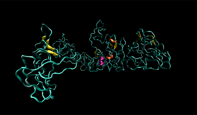 Tropoelastin