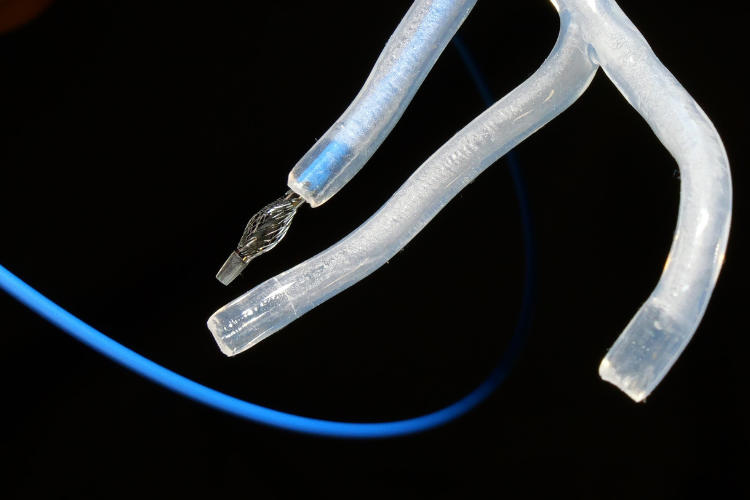 A catheter routed through a model of arteries.