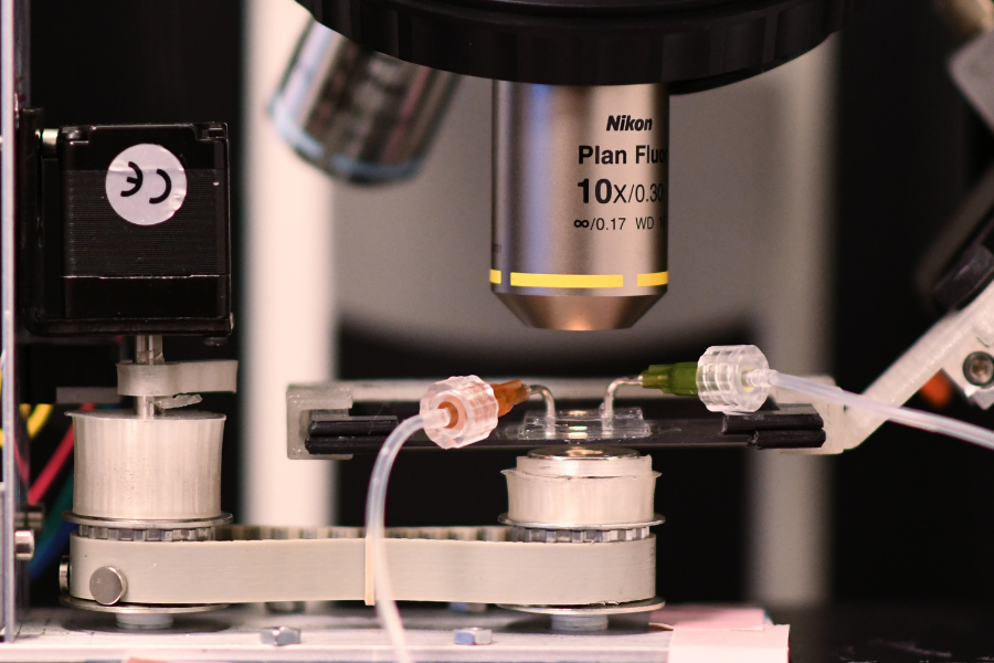 A microfluidic device is atop a magnet while blood flows through it.