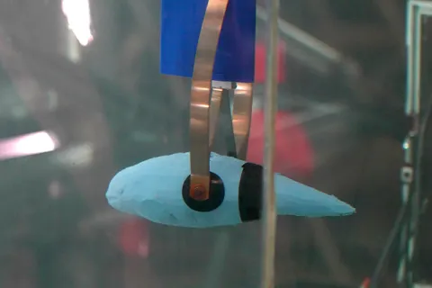 A robotic claw grips a blue fish-shaped object in a lab environment