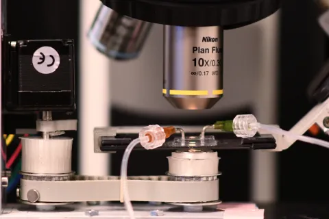 A small microfluidic device placed above a magnet while blood flows through it.