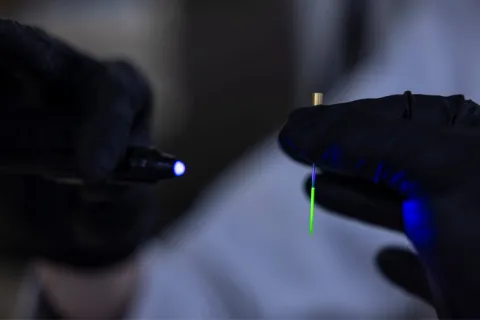 Photoactive materials in a small tube glow green.