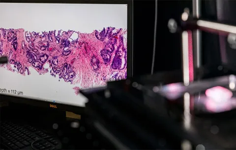microscope tissue scan