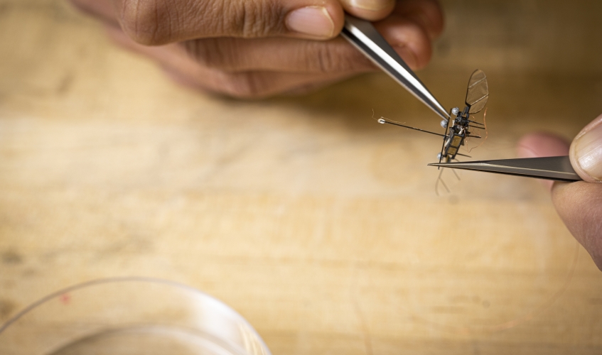 Tweezers holding a microrobot