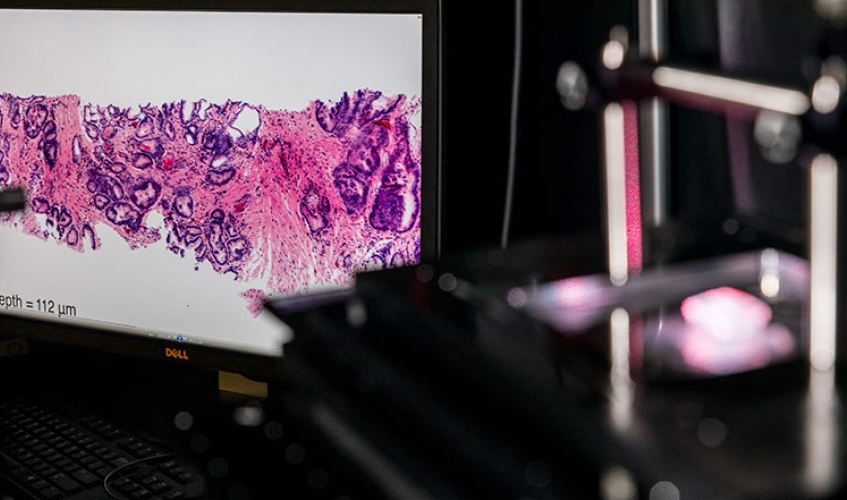 microscope tissue scan