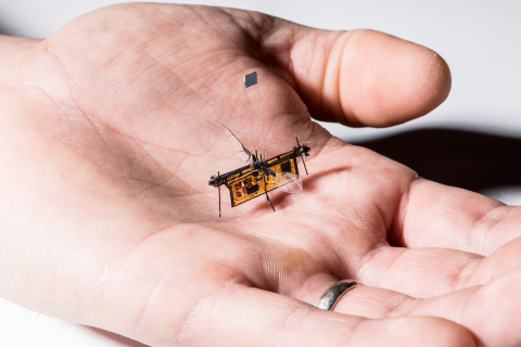 A tiny little flying robot about the size of two postage stamps sits in the palm of a hand