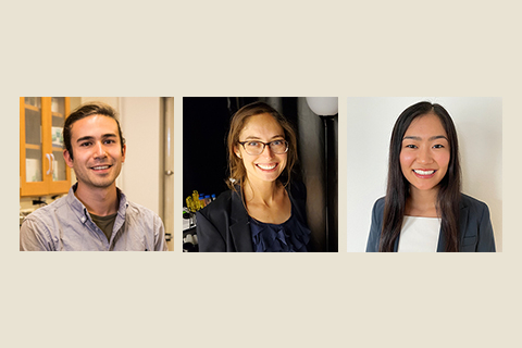 Collage of three researchers' headshots