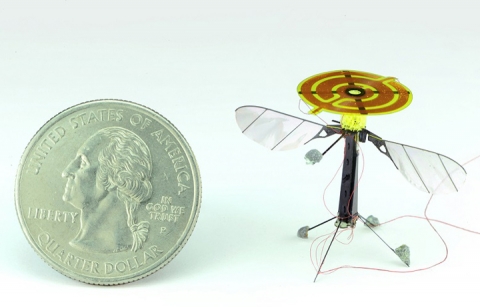 Tiny robot compared to coin