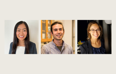 Collage of three researchers' headshots