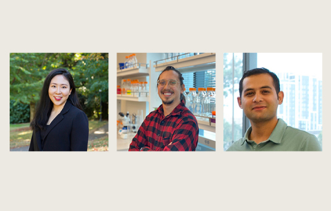 Collage of three researchers' headshots